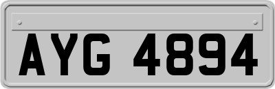 AYG4894