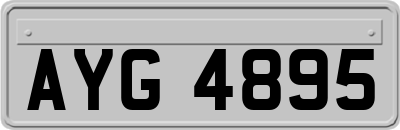 AYG4895