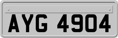 AYG4904