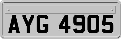 AYG4905