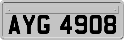 AYG4908