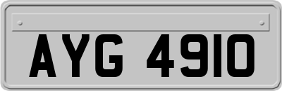 AYG4910