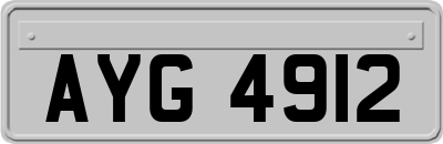 AYG4912
