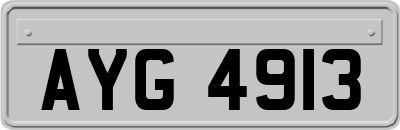 AYG4913