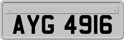 AYG4916