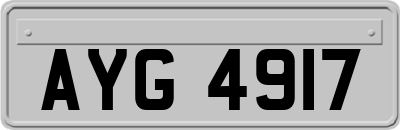 AYG4917