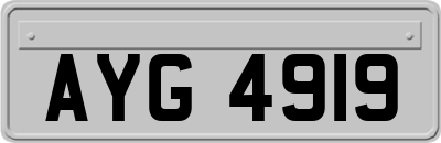 AYG4919