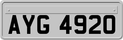 AYG4920