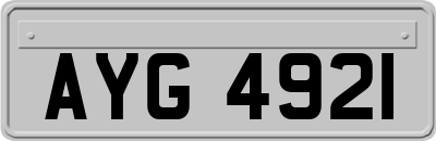 AYG4921