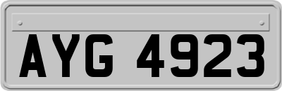 AYG4923