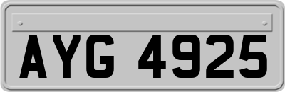 AYG4925