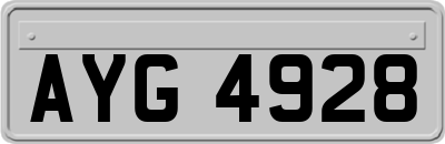 AYG4928