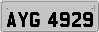 AYG4929