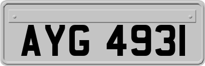 AYG4931