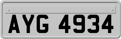 AYG4934