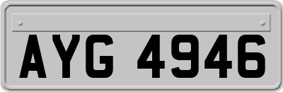 AYG4946