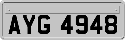AYG4948