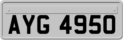 AYG4950