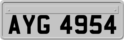 AYG4954