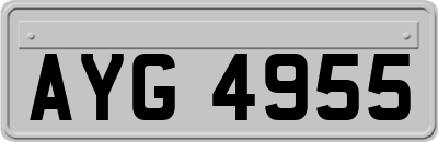 AYG4955