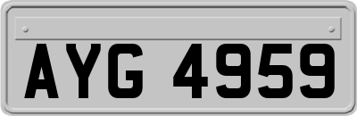 AYG4959