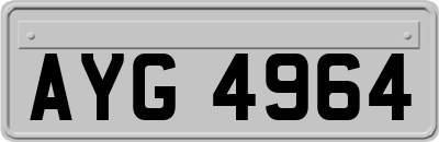 AYG4964