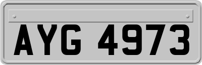 AYG4973