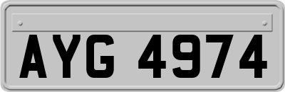 AYG4974
