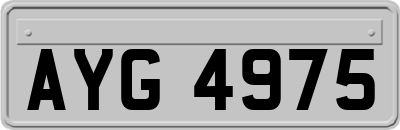 AYG4975