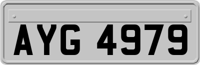 AYG4979