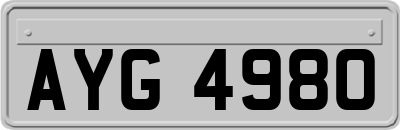 AYG4980