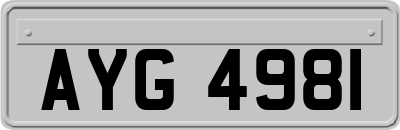 AYG4981
