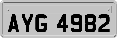 AYG4982