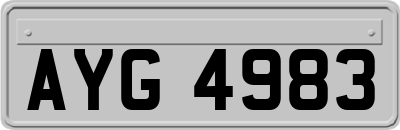 AYG4983