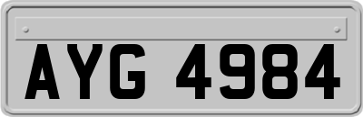 AYG4984