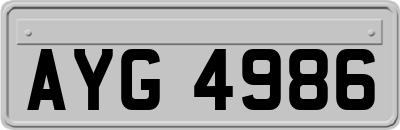 AYG4986