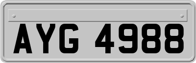 AYG4988