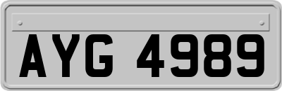 AYG4989