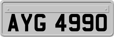 AYG4990