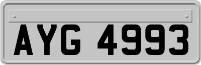 AYG4993