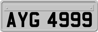 AYG4999