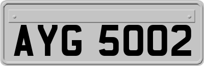 AYG5002