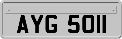 AYG5011