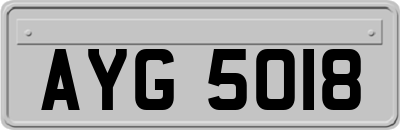 AYG5018