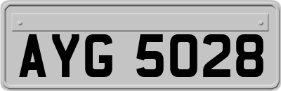 AYG5028