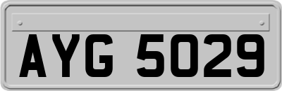 AYG5029