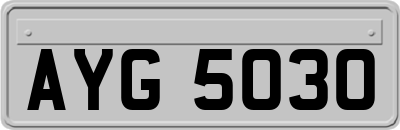 AYG5030