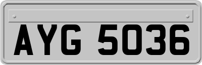 AYG5036