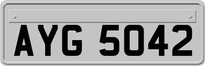 AYG5042