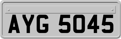 AYG5045